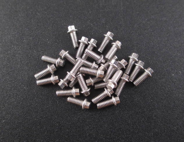 M2 x 5mm Scale Hex Bolts (30) SS 
