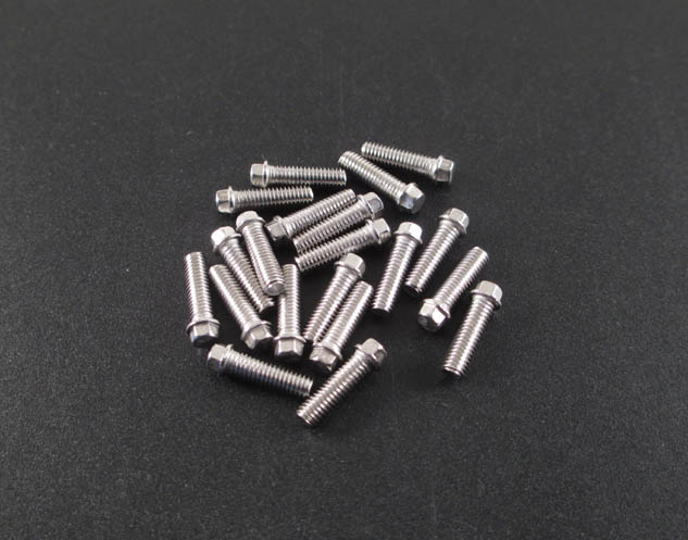 M3 x 10mm Scale Hex Bolts (20) SS