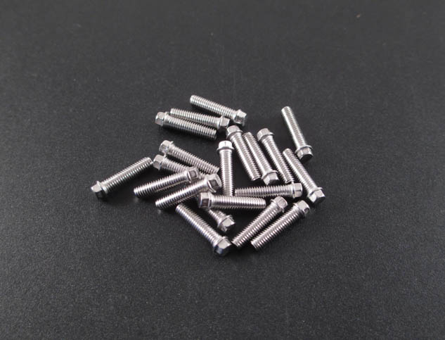 M3 x 12mm Scale Hex Bolts (20) SS 