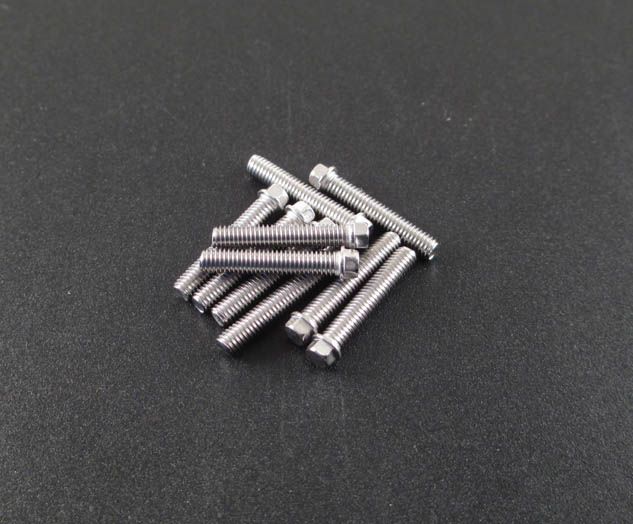 M3 x 16mm Scale Hex Bolts (10) SS  