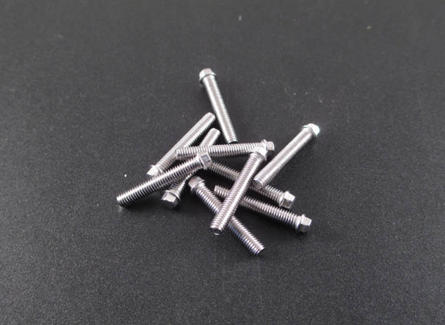 M3 x 18mm Scale Hex Bolts (10) SS