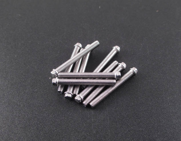 M3 x 25mm Scale Hex Bolts (10) SS 
