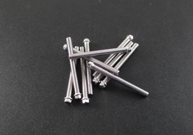 M3 x 30mm Scale Hex Bolts (10) SS 
